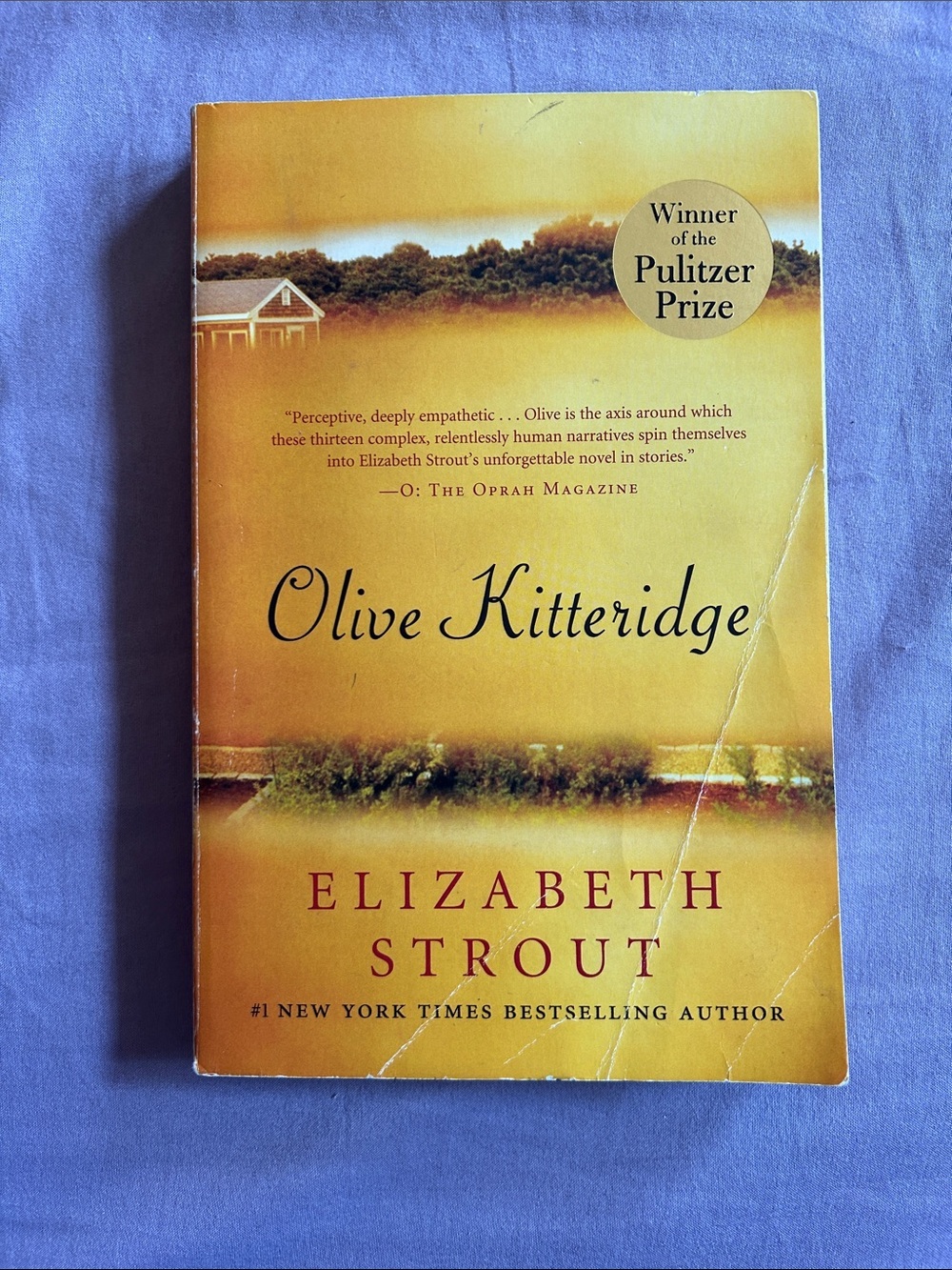 Olive Kitteridge by Elizabeth Strout, Pulitzer Prize, paperback